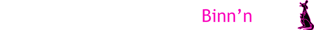 Logo Indoorstrand Groningen Binn'n pret